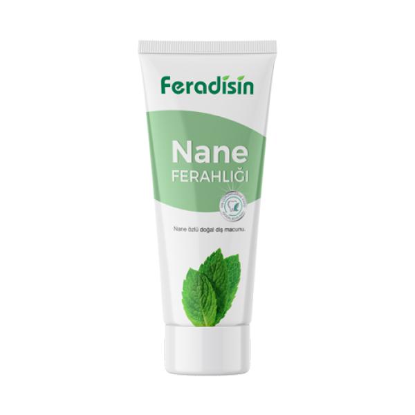 Feradisin Diş Macunu Nane Özlü 75 ML